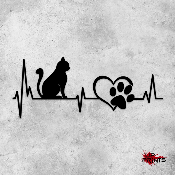 EKG Katze